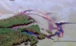 Accident ecologic la Cercul Polar de Nord. O uriaşă scurgere de petrol ameninţă mediul natural şi fauna din zonă