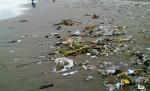 Când şi-au făcut bagajul pentru vacanţă, românii şi-au uitat acasă bunul simţ. Mormane de gunoaie, sticle şi resturi pe plaje