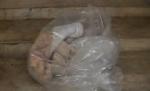"Decapitat, într-un sac de plastic". Sfârşitul tragic al unui medic ţinut ostatic