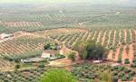 Tot mai mulţi greci care îşi pierd locurile de muncă devin agricultori pentru a scăpa de efectele crizei
