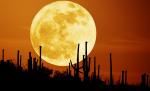 Această descoperire a schimbat percepţia despre evoluţia Universului. Fenomenul care se petrece cu Luna i-a uluit pe astronomi