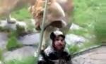 Părinţi inconştienţi la zoo: Se amuzau când leul încerca să le mănânce bebeluşul