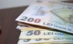 16 primării PDL au restituit deja Guvernului aproape 2,5 milioane primiţi de la Guvernul Ungureanu 