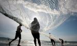 Chile. Mii de păsări moarte la malul mării. Autorităţile cer ajutorul pescarilor