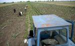 Vaslui. Un tânăr a ajuns la spital în stare critică după ce remorca unui tractor s-a răsturnat peste el