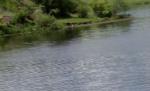 Un bărbat care pescuia pe Lacul Morii din Capitală a dispărut din barcă. Mai mulţi scafandrii ISU au început căutările