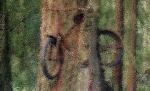 Un copac a adoptat o bicicletă. Arborele atrage mii de turişti în Scoţia