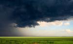 Disperarea a căzut din cer pentru sute de români. Apa le-a intrat în case, iar un  întreg cartier a fost inundat