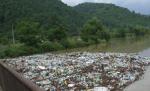 Dunărea, sufocată de tone de gunoaie aduse de pe versanţi de apele umflate ale râului Cerna