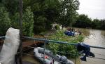 Inundaţiile fac ravagii - 5 persoane sunt blocate în mijlocul râului Trotuş. Pompierii se chinuie să îi salveze