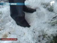 Grindină nimicitoare în Mehedinţi

