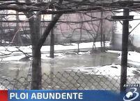 Natura dezlănţuită în Caraş şi în jurul României