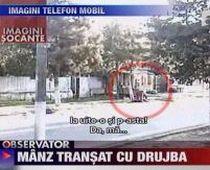 Cruzime ieşită din comun. Un român şi-a tranşat mânzul cu drujba