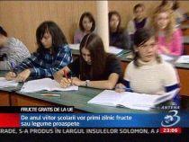 Elevii români vor primi de la anul şi fructe, în completarea programului ?Laptele şi Cornul?
