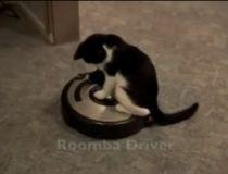 Ce au în comun aspiratoarele robotizate cu animalele de companie? (VIDEO)