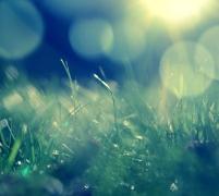 Prognoza meteo de alegeri şi Ziua Naţională: Vremea se încălzeşte