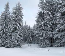 Prognoza meteo pe trei luni. Temperaturi normale şi ninsori mai abundente în nordul şi centrul ţării