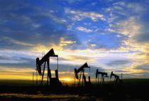 Cercetare SUA: Petrolul ar putea scădea şi mai mult pe fondul reducerii cererii în 2009
