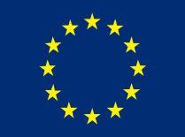De la 1 ianuarie, Cehia preia şefia Uniunii Europene