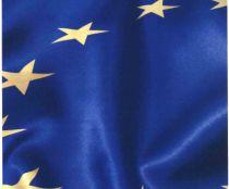 Preşedinţia UE: Disputa gazelor între Rusia şi Ucraina este o problemă bilaterală