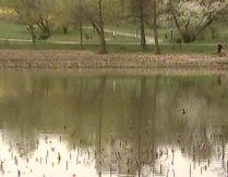Lacul Circului din Bucureşti seacă văzând cu ochii din cauza construcţiei unui bloc