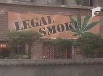 Cum să te droghezi legal. Ierburi halucinogene, comercializate în zeci de magazine din România