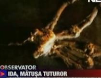Faceţi cunoştinţă cu Ida - fosila de 47 milioane de ani, considerată veriga lipsă în teoria evoluţiei

