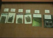 Sondaj în rândul tinerilor, privind consumul de droguri: Peste 51% vor legalizarea stupefiantelor