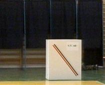 Incidente la alegerile europarlamentare: Un bărbat de 73 de ani a murit în cabina de vot