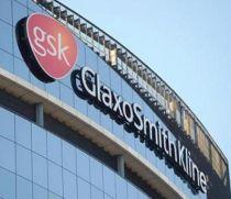 GlaxoSmithKline crede că va obţine 3,5 milliarde euro din tratarea gripei porcine
