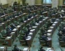 Deputaţii au votat pentru raportul Comisiei de anchetă în cazul Ridzi