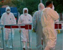 Cele mai multe cazuri de gripă porcină vor fi înregistrate la începutul primăverii 
