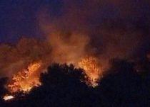 Incendii de vegetaţie, în Grecia: Două focare au izbucnit la periferia de nord a Atenei (VIDEO)
