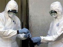 Gripa porcină ar putea îmbolnăvi jumătate din populaţia SUA: 90.000 de americani ar putea muri 