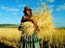 Fermierii din Argentina se pregătesc de grevă