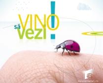 Ofensiva de toamnă la Antena 1