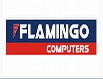 Fiul lui Dan Adamescu, numit preşedinte la Flamingo