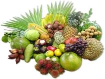 Antioxidanţii - "călcâiul lui Ahile" al virusului A H1N1, potrivit unor cercetători