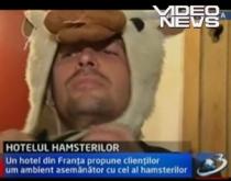 Vrei să fii rozătoare pentru o noapte ? Cazează-te la ?Vila Hamster? (VIDEO)