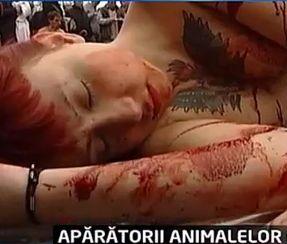 Madrid. Activişti dezbrăcaţi au simulat masacrul animalelor cu blană (VIDEO)