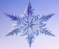 Prima ninsoare din această iarnă îşi face "timid" apariţia în Bucureşti. Vezi prognoza meteo 