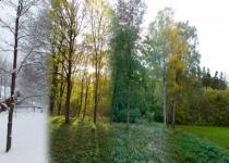 Un an în 90 de secunde. Milioane de accesări pe net pentru clipurile unui norvegian (VIDEO)