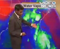 Un prezentator meteo s-a speriat de un gândac (VIDEO)