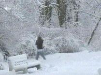 Vremea se menţine rece pentru această perioadă. Vezi prognoza meteo pentru următoarele trei zile