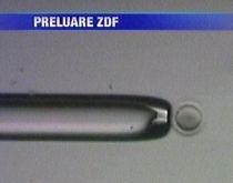 ZDF: Deşi ilegal, în România traficul cu ovule este o afacere înfloritoare (VIDEO)