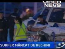 SUA. Un surfer a fost omorât de rechini în Florida (VIDEO)