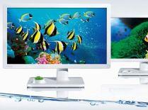 Benq lansează în România opt noi monitoare LED cu dimensiuni între 18.5 şi 24 inch (FOTO)