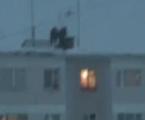 Tineri care se aruncă de pe bloc în zăpadă - cea mai nouă distracţie în Rusia - VIDEO