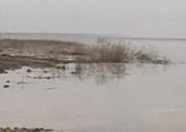 Dunărea a ieşit din matcă: Sute de hectare de teren, inundate. Vezi când se emite Cod Roşu (VIDEO)
