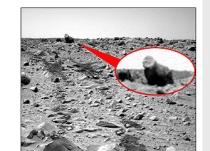 Gorilă uriaşă cu spatele argintiu, fotografiată pe Marte de un robot NASA (FOTO)